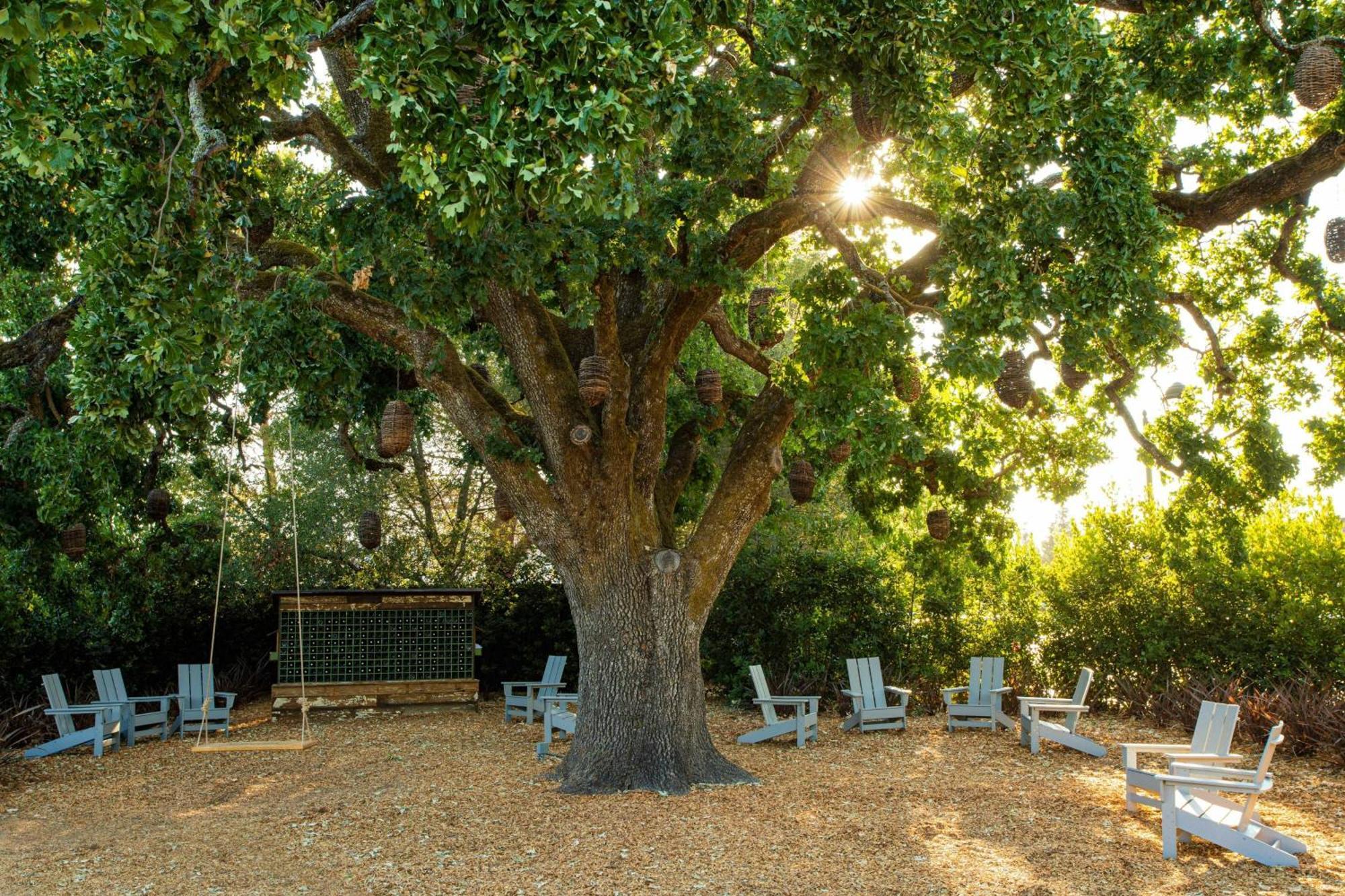 The Lodge At Sonoma Resort, Autograph Collection Exterior photo